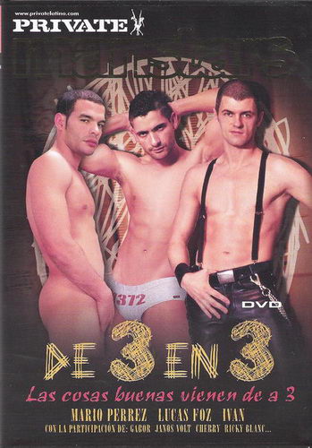 DVD GAYS Peliculas Gays De 3 en